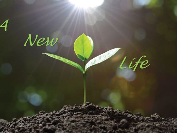 What does it mean to be Born&nbsp;Again?